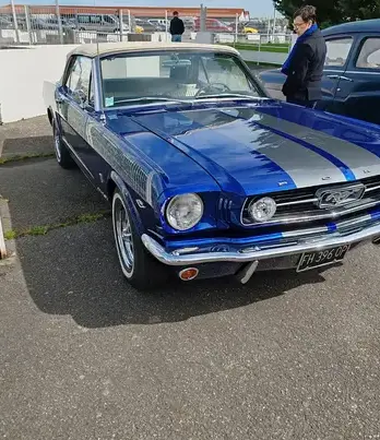 carrossier à Bréal sous Montfort - image 3