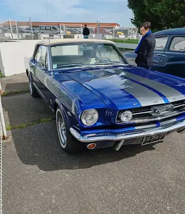 peinture carrosserie Bruz-5